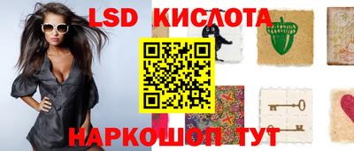 шишки Сланцы