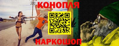 шишки Сланцы
