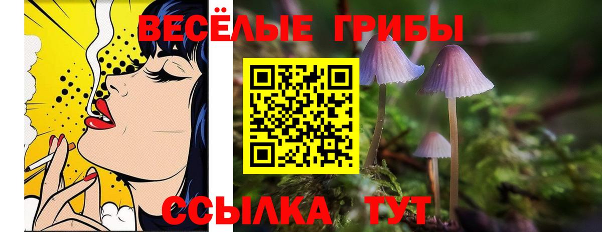 Галлюциногенные грибы MAGIC MUSHROOMS  Галлюциногенные грибы мицелий  Саров  Вход с VPN 